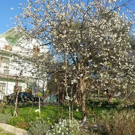 Tereza Apartment Bibinje