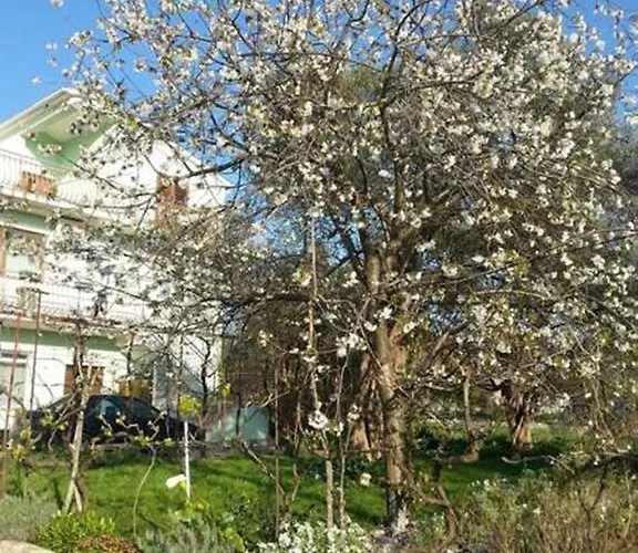 Apartmani Tereza Lägenhet Bibinje